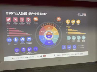 上海互联网数据服务产业规划启示录 湖北跟班干部的深刻感悟